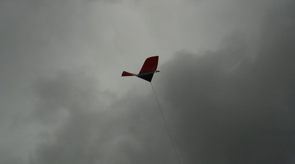 Gayla Patented Fire Bird Kite
